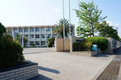 �@�{��s������{���w�Z:1953m