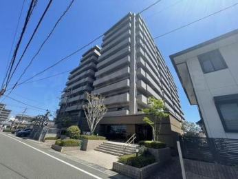 ���n�O�ώʐ^�@�����O��