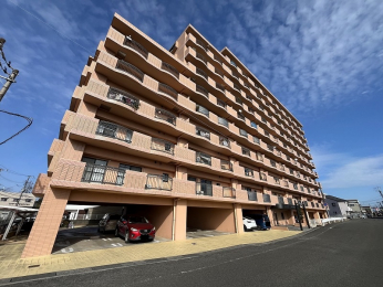 ���n�O�ώʐ^�@�n�s�l�X�_��