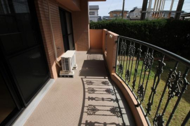 �@�o���R�j�[