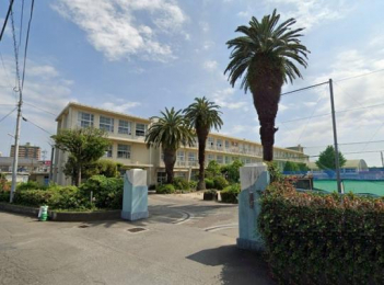 �@�{��s���{�蓌���w�Z:733m